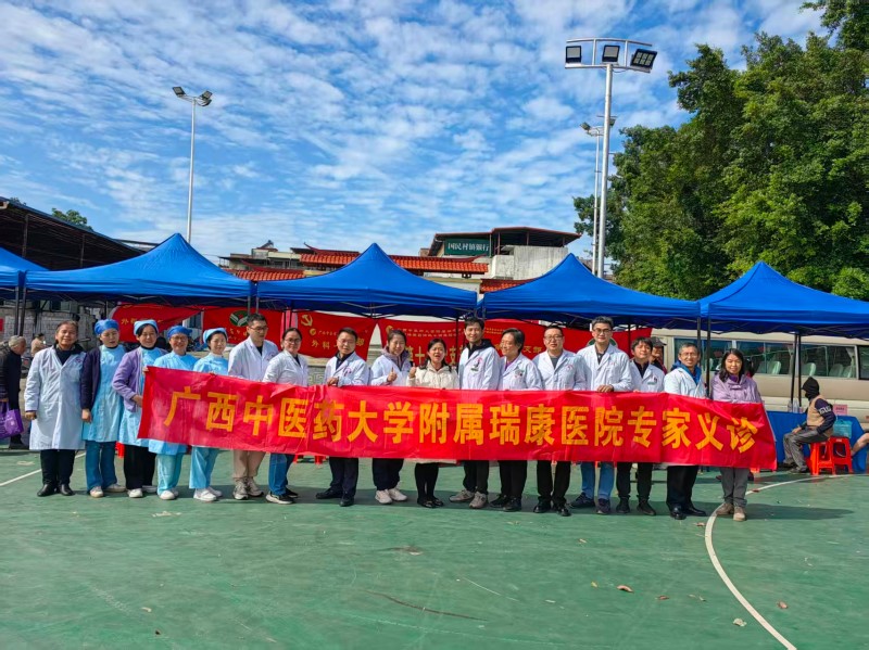 公益诊疗传万家 中医药服务暖基层——我院走进金陵镇开展健康义诊